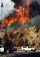 Read about the Cleveland Fire (Eldorado National Forest)